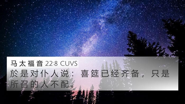 马 太 福 音 22:8 CUVS Bible Verse Image