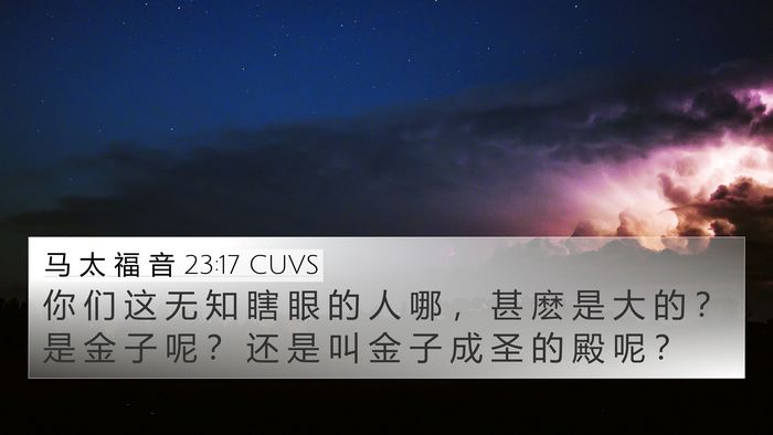 马 太 福 音 23:17 CUVS Bible Verse Image