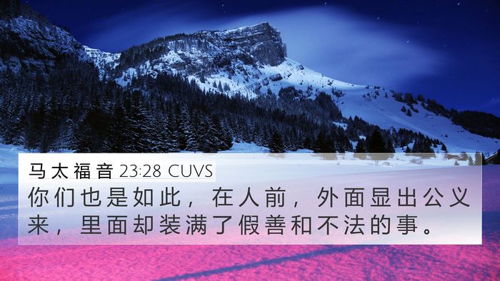 马 太 福 音 23:28 CUVS 4K Wallpaper - 你 们 也 是 如 此 ， 在 人 前 ， 外 - 4K Wallpaper Bible Verse