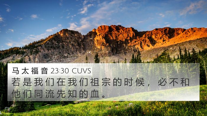 马 太 福 音 23:30 CUVS Bible Verse Image