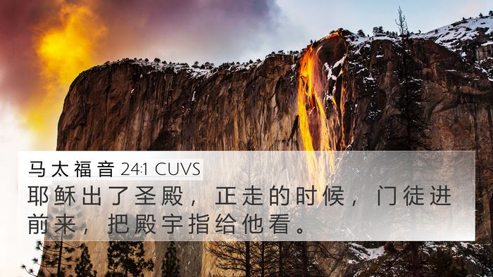 马 太 福 音 24:1 CUVS Bible Verse Image