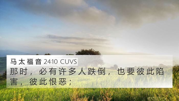 马 太 福 音 24:10 CUVS Bible Verse Image