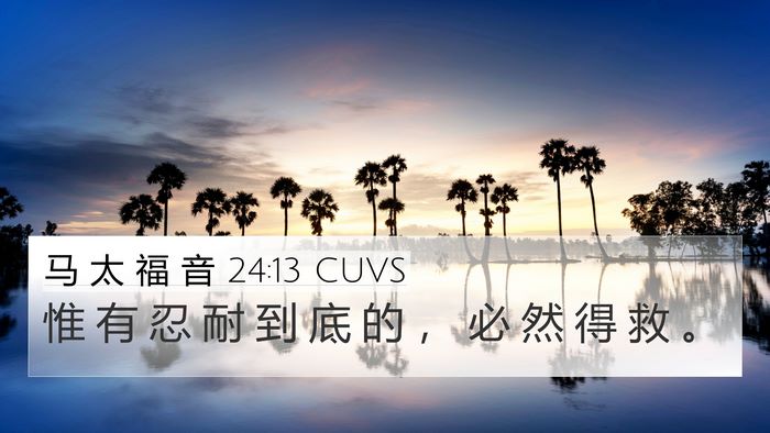 马 太 福 音 24:13 CUVS Bible Verse Image