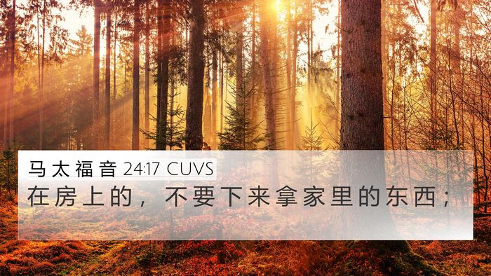 马 太 福 音 24:17 CUVS Bible Verse Image
