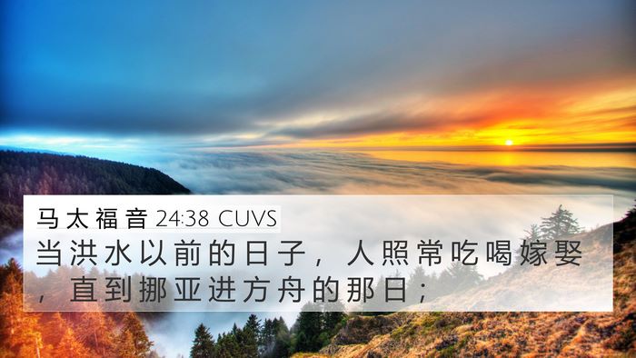 马 太 福 音 24:38 CUVS Bible Verse Image