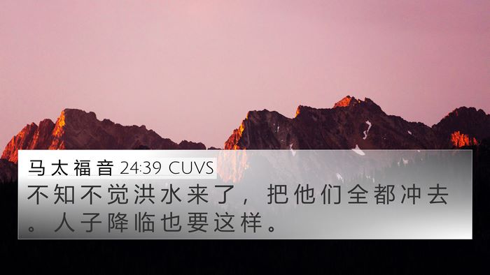 马 太 福 音 24:39 CUVS Bible Verse Image