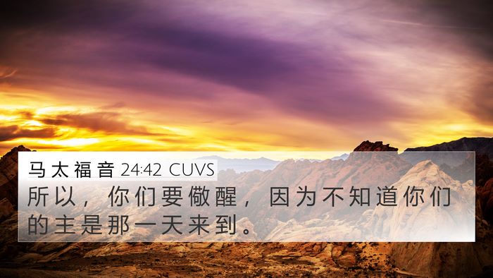 马 太 福 音 24:42 CUVS Bible Verse Image