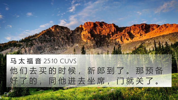 马 太 福 音 25:10 CUVS Bible Verse Image