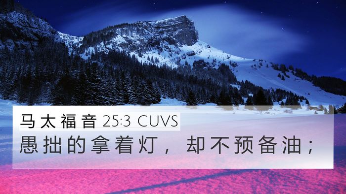 马 太 福 音 25:3 CUVS Bible Verse Image
