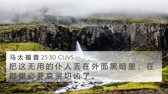 马 太 福 音 25:30 CUVS Bible Verse Image