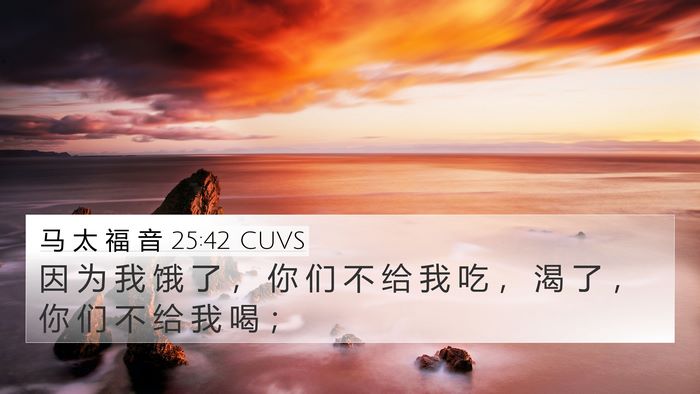 马 太 福 音 25:42 CUVS Bible Verse Image