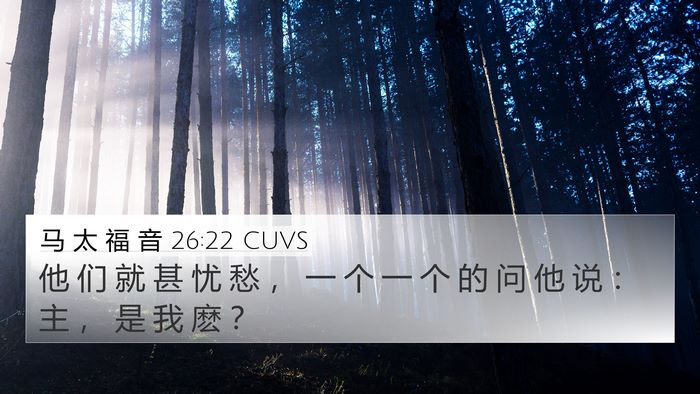 马 太 福 音 26:22 CUVS 4K Wallpaper - 他 们 就 甚 忧 愁 ， 一 个 一 个 的 - 4K Wallpaper Bible Verse