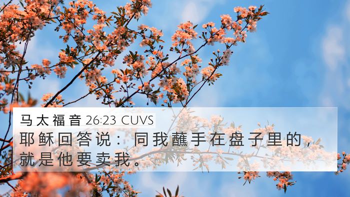 马 太 福 音 26:23 CUVS Bible Verse Image