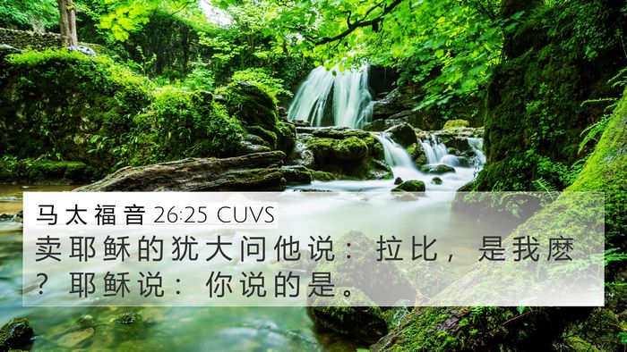 马 太 福 音 26:25 CUVS Bible Verse Image