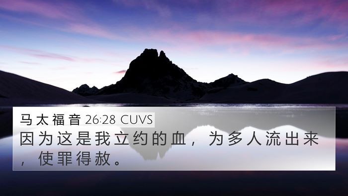 马 太 福 音 26:28 CUVS Bible Verse Image