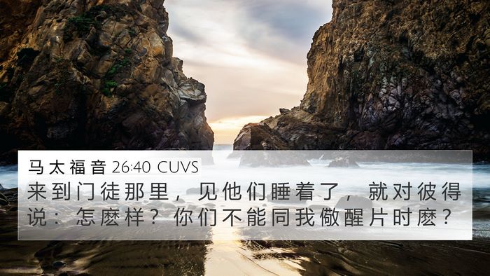 马 太 福 音 26:40 CUVS 4K Wallpaper - 来 到 门 徒 那 里 ， 见 他 们 睡 着 - 4K Wallpaper Bible Verse