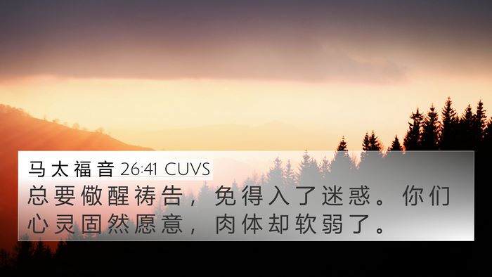 马 太 福 音 26:41 CUVS Bible Verse Image