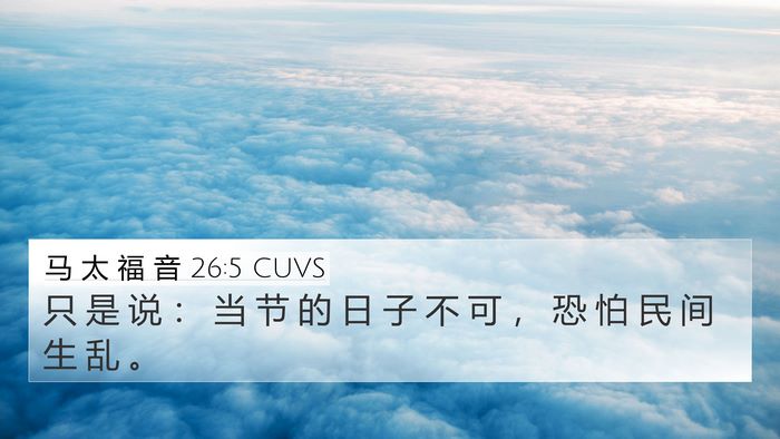 马 太 福 音 26:5 CUVS 4K Wallpaper - 只 是 说 ： 当 节 的 日 子 不 可 ， - 4K Wallpaper Bible Verse