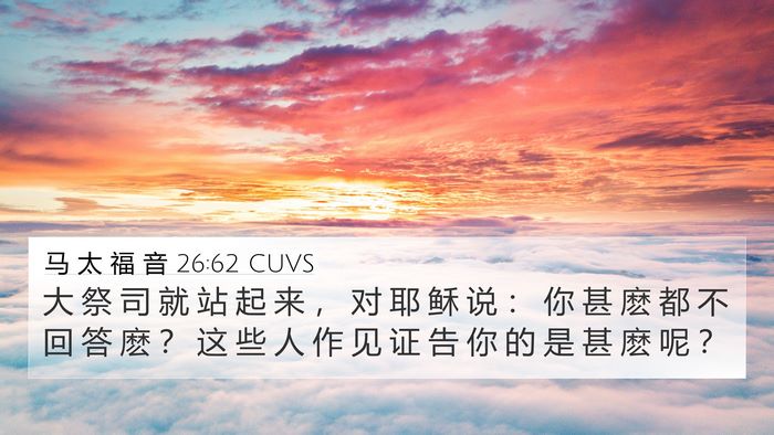 马 太 福 音 26:62 CUVS 4K Wallpaper - 大 祭 司 就 站 起 来 ， 对 耶 稣 说 - 4K Wallpaper Bible Verse