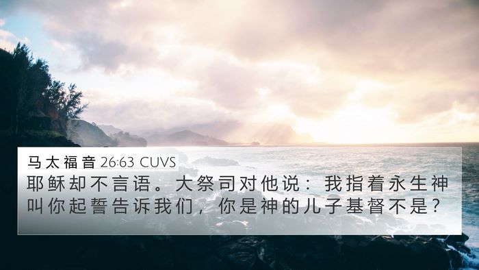 马 太 福 音 26:63 CUVS Bible Verse Image