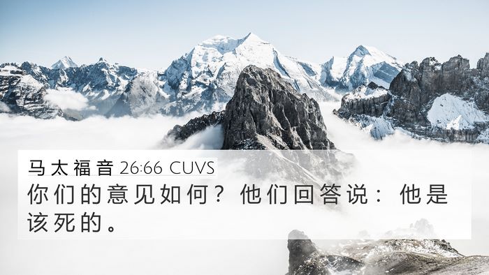 马 太 福 音 26:66 CUVS 4K Wallpaper - 你 们 的 意 见 如 何 ？ 他 们 回 答 - 4K Wallpaper Bible Verse