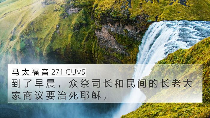 马 太 福 音 27:1 CUVS Bible Verse Image