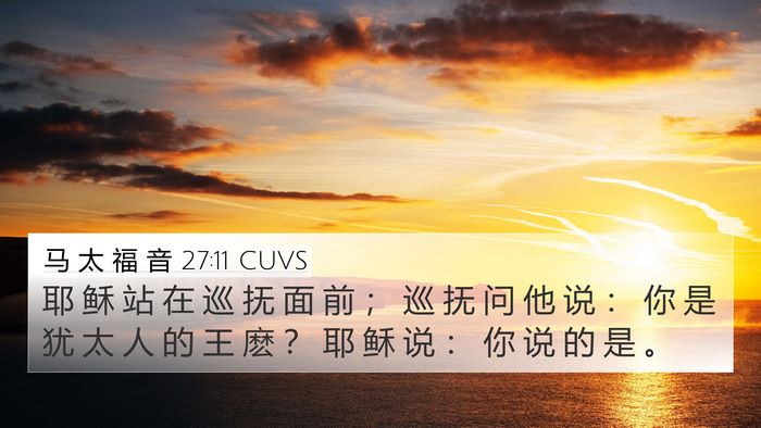 马 太 福 音 27:11 CUVS Bible Verse Image