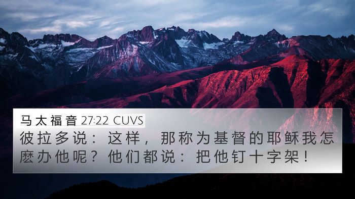 马 太 福 音 27:22 CUVS Bible Verse Image