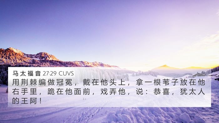 马 太 福 音 27:29 CUVS Bible Verse Image