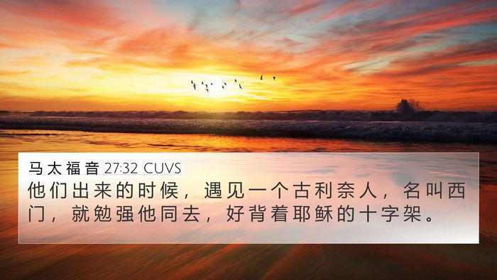 马 太 福 音 27:32 CUVS Bible Verse Image