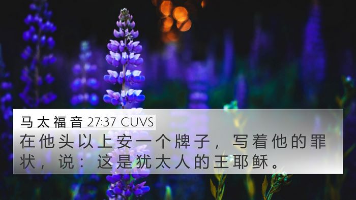 马 太 福 音 27:37 CUVS Bible Verse Image
