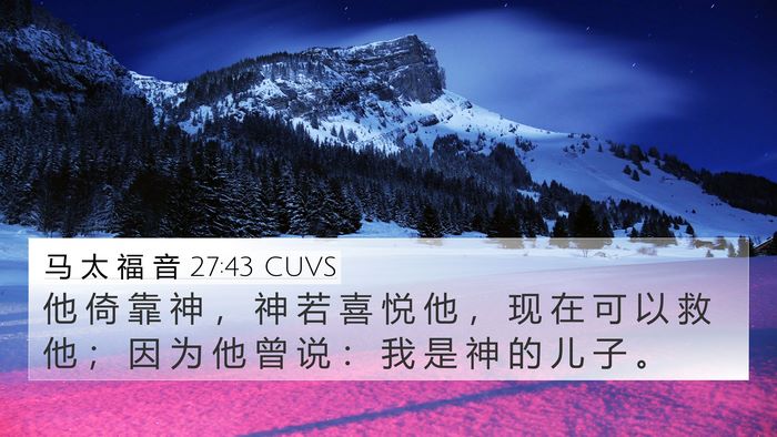 马 太 福 音 27:43 CUVS Bible Verse Image