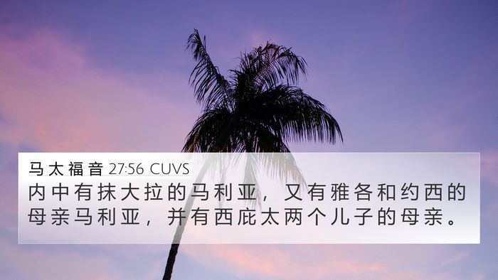 马 太 福 音 27:56 CUVS Bible Verse Image