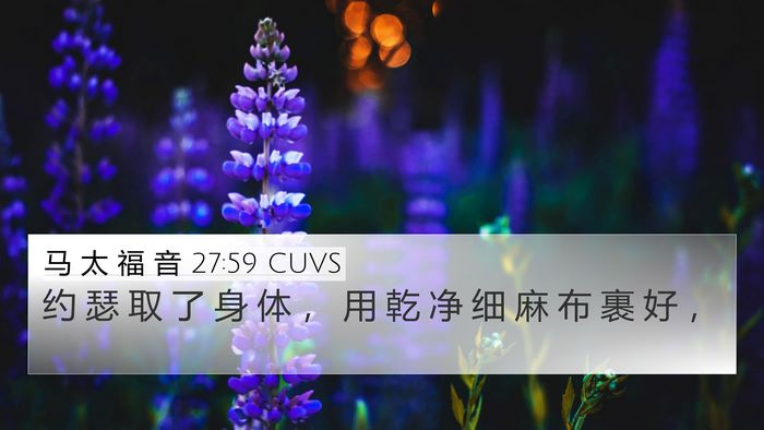 马 太 福 音 27:59 CUVS Bible Verse Image