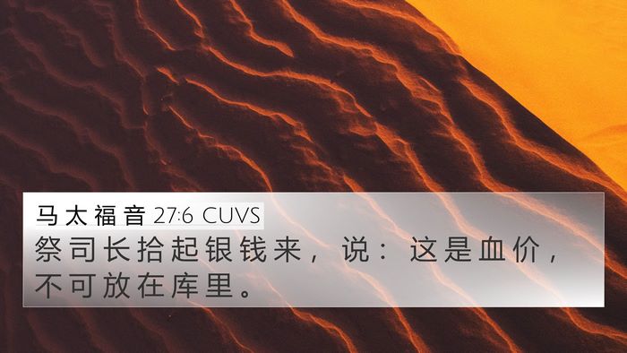 马 太 福 音 27:6 CUVS Bible Verse Image