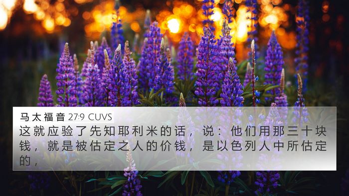马 太 福 音 27:9 CUVS 4K Wallpaper - 这 就 应 验 了 先 知 耶 利 米 的 话 - 4K Wallpaper Bible Verse
