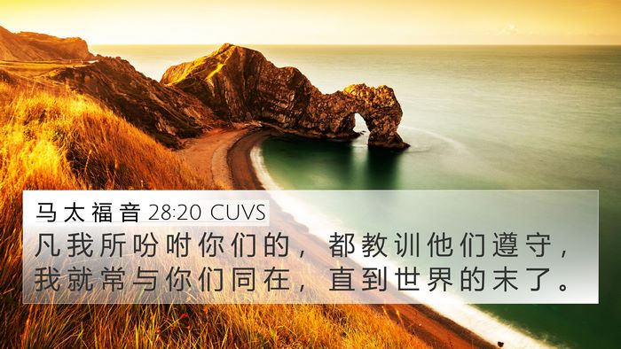 马 太 福 音 28:20 CUVS Bible Verse Image