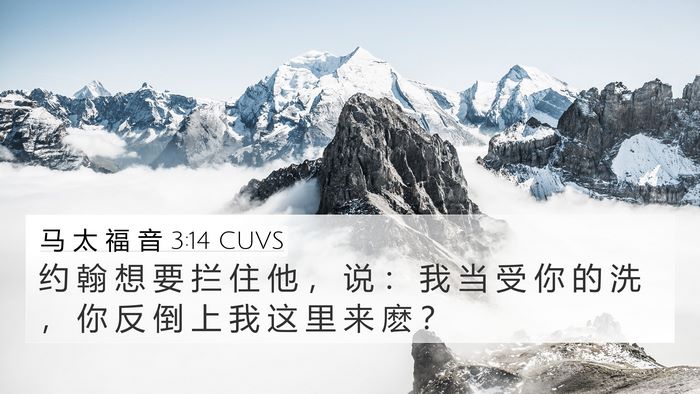 马 太 福 音 3:14 CUVS Bible Verse Image