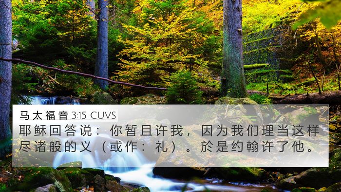 马 太 福 音 3:15 CUVS Bible Verse Image