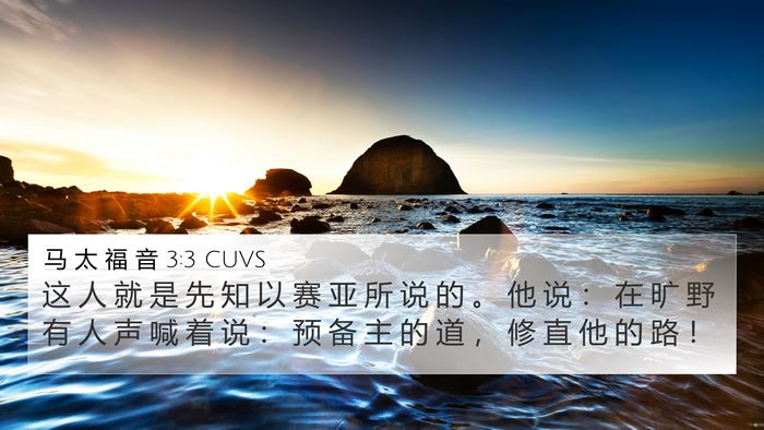 马 太 福 音 3:3 CUVS Bible Verse Image