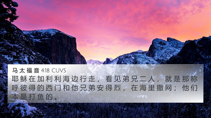 马 太 福 音 4:18 CUVS Bible Verse Image