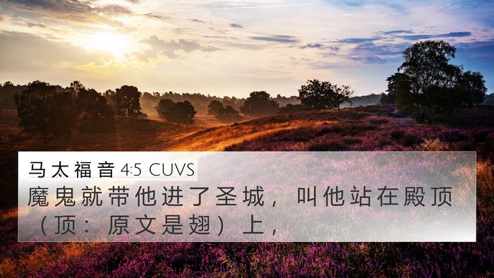 马 太 福 音 4:5 CUVS Bible Verse Image
