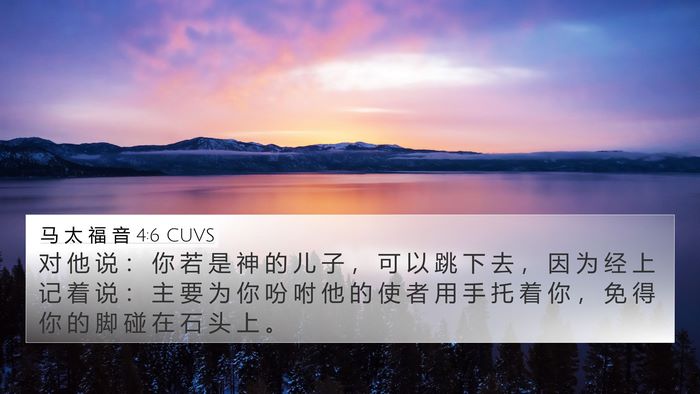 马 太 福 音 4:6 CUVS Bible Verse Image
