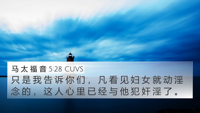 马 太 福 音 5:28 CUVS Bible Verse Image