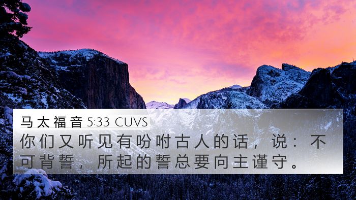马 太 福 音 5:33 CUVS Bible Verse Image