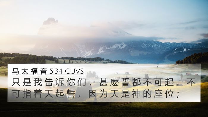 马 太 福 音 5:34 CUVS Bible Verse Image