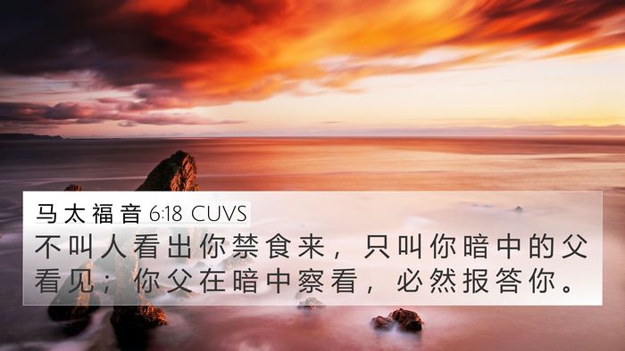 马 太 福 音 6:18 CUVS Bible Verse Image