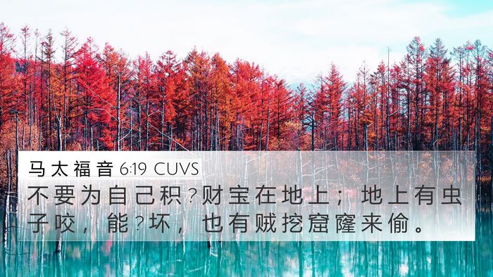 马 太 福 音 6:19 CUVS Bible Verse Image