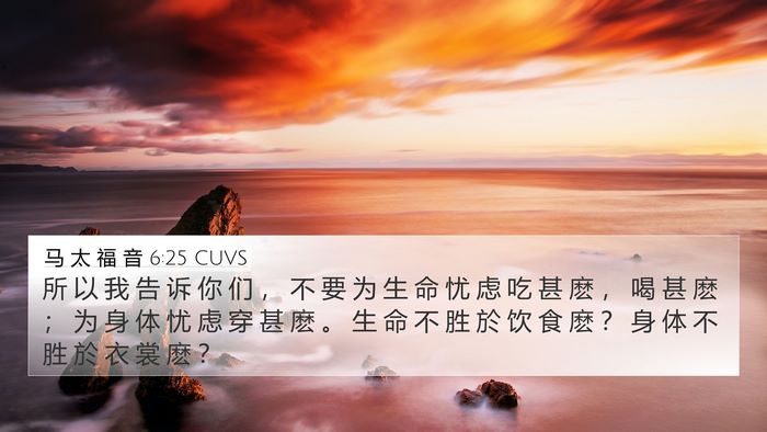 马 太 福 音 6:25 CUVS Bible Verse Image