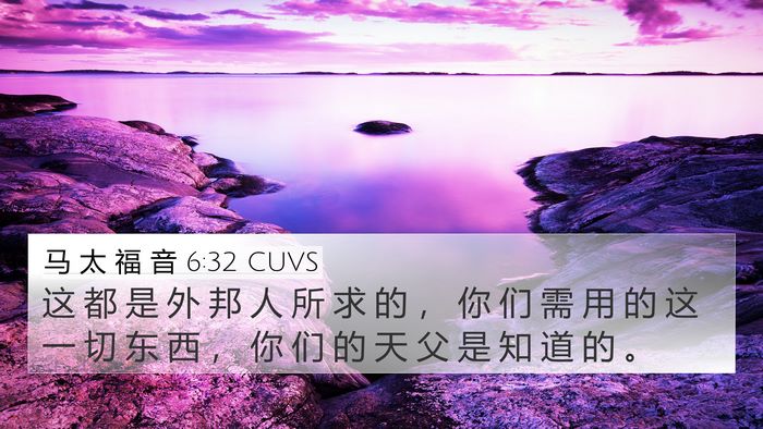 马 太 福 音 6:32 CUVS Bible Verse Image